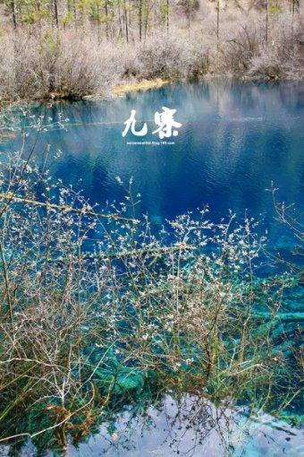 现在的90后对待领导为什么不愿意讨好呢？游戏画面